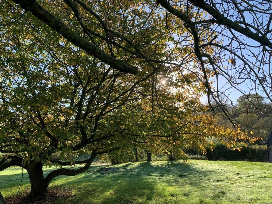 Stunning East Devon Cider Barn Holiday home *
